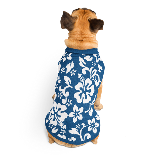 Knitted pet sweater - Blue White Hawaiian Tropic