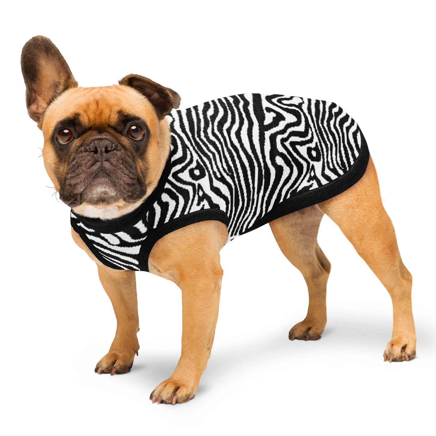 Knitted pet sweater - Zebra Collection