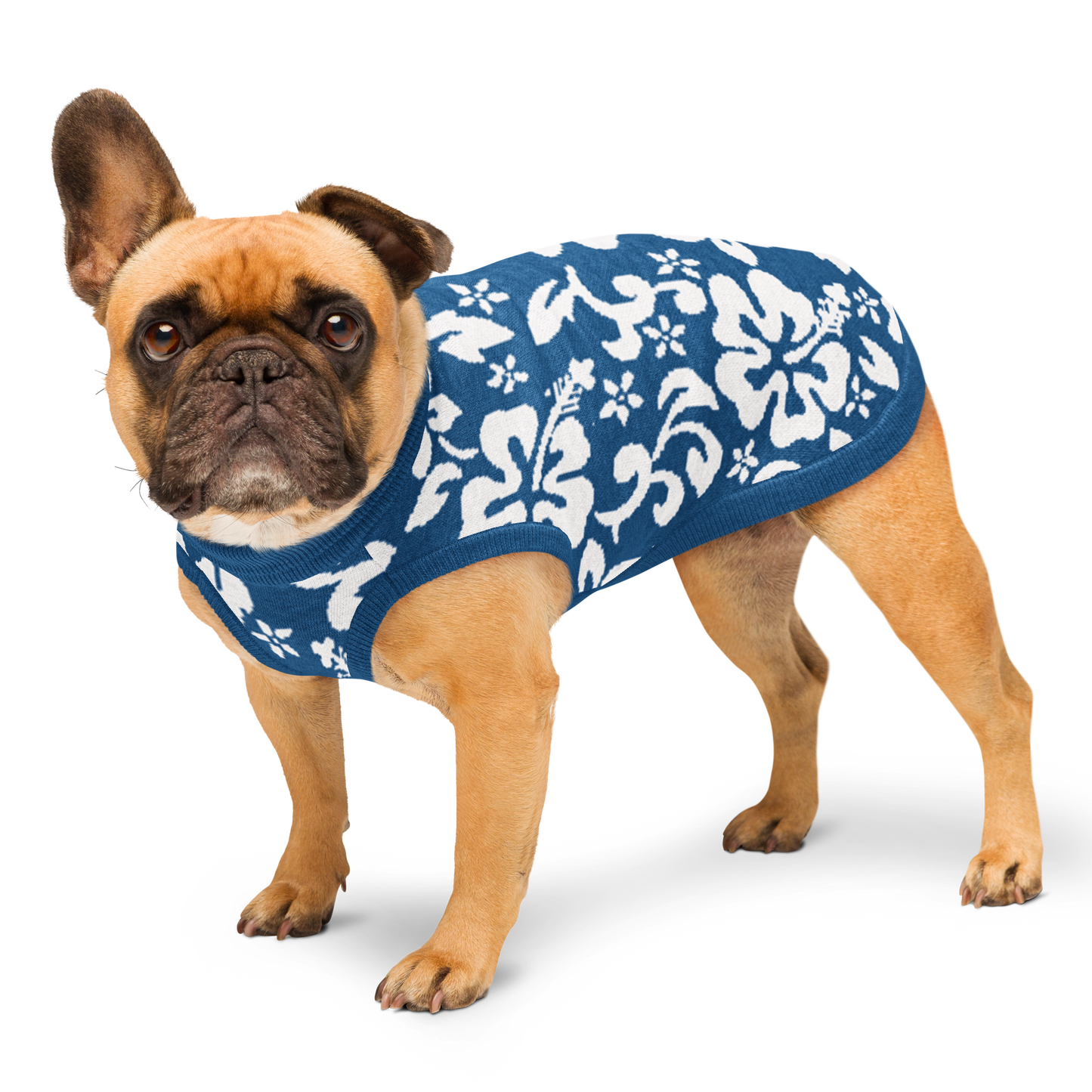 Knitted pet sweater - Blue White Hawaiian Tropic