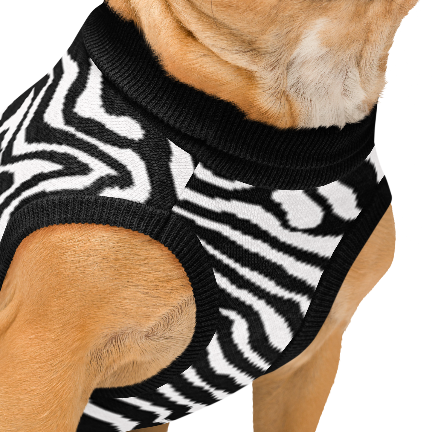 Knitted pet sweater - Zebra Collection