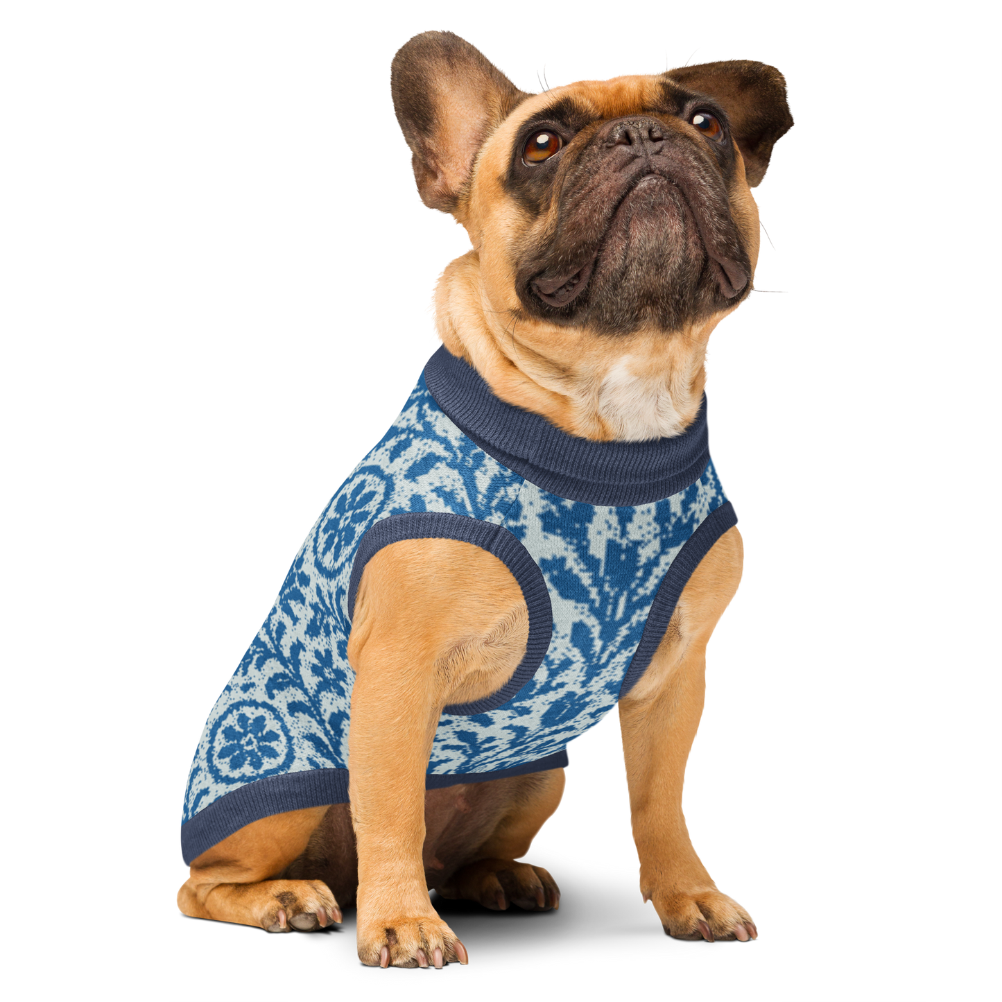 Knitted pet sweater - Blue Delft Reverie