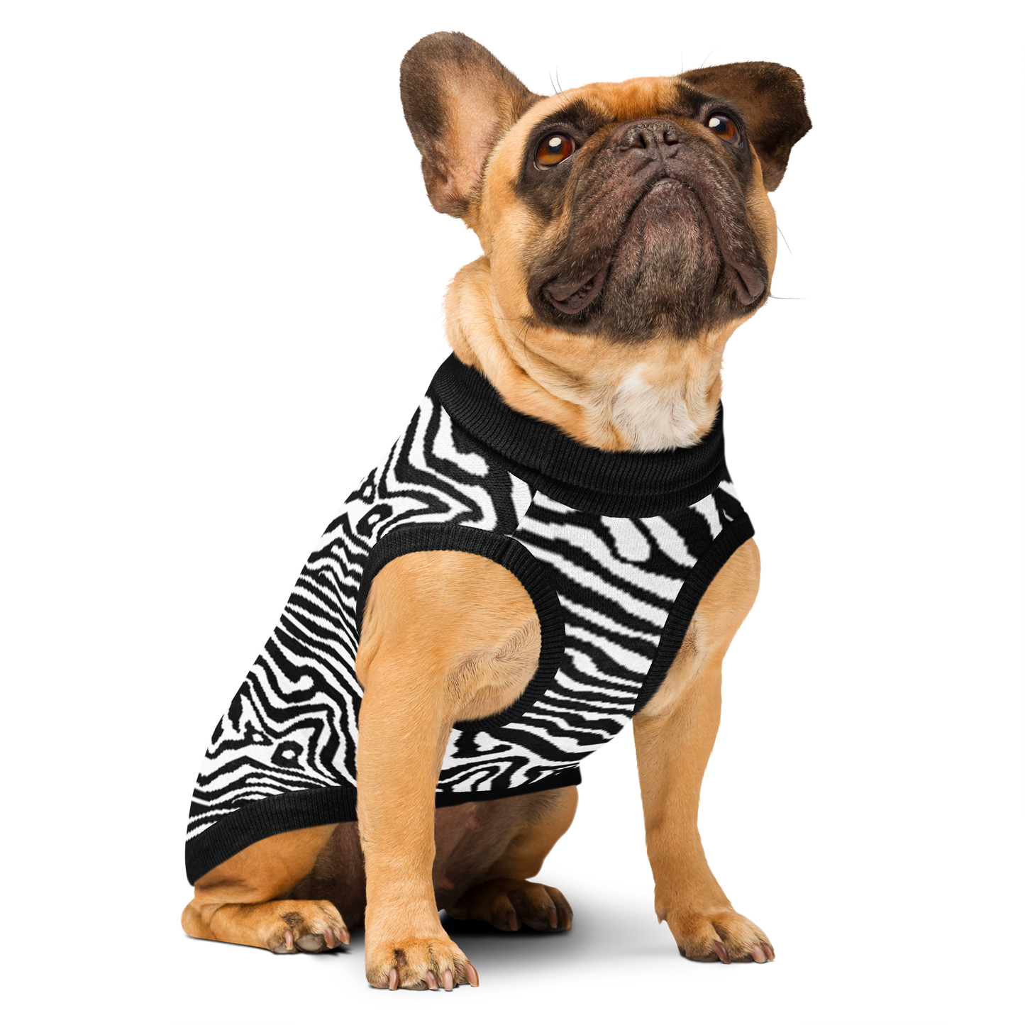 Knitted pet sweater - Zebra Collection
